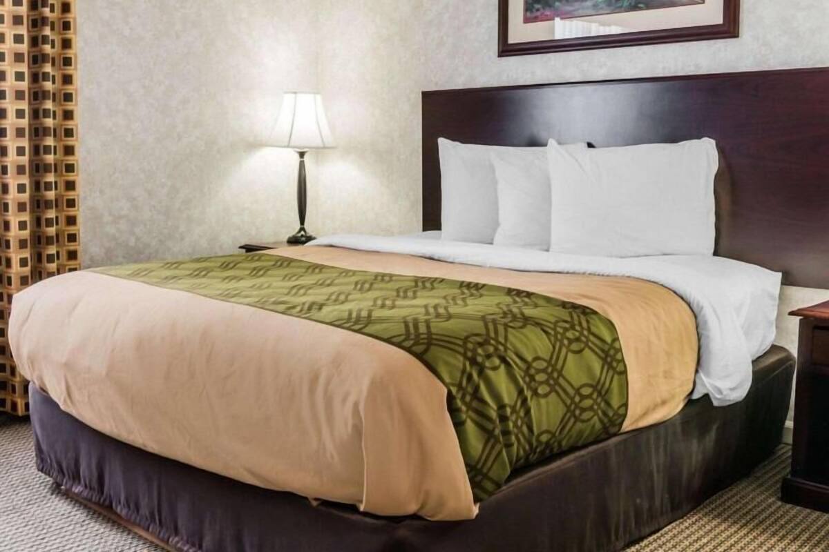 A hotel room with a bed, a lamp, a painting on the wall, and a patterned bedspread.