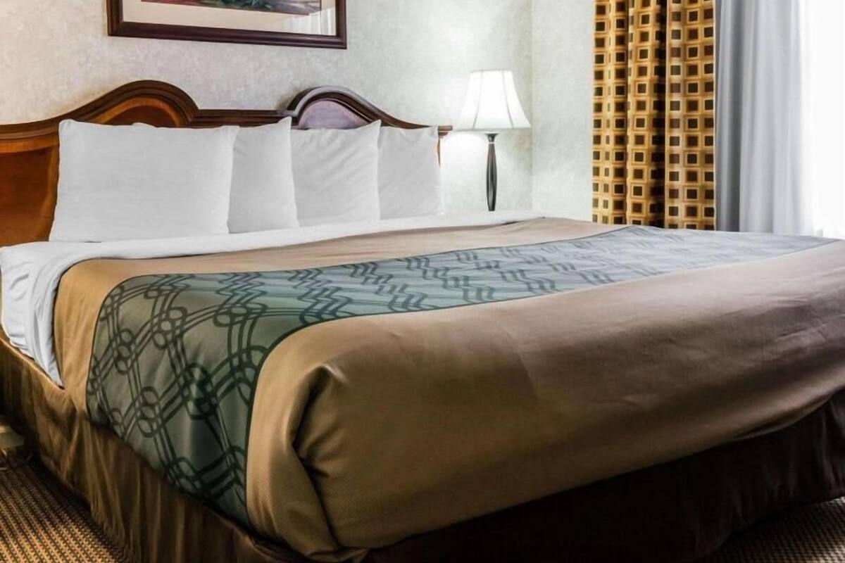 A hotel room with a bed, a painting on the wall, a lamp, and a window with curtains.