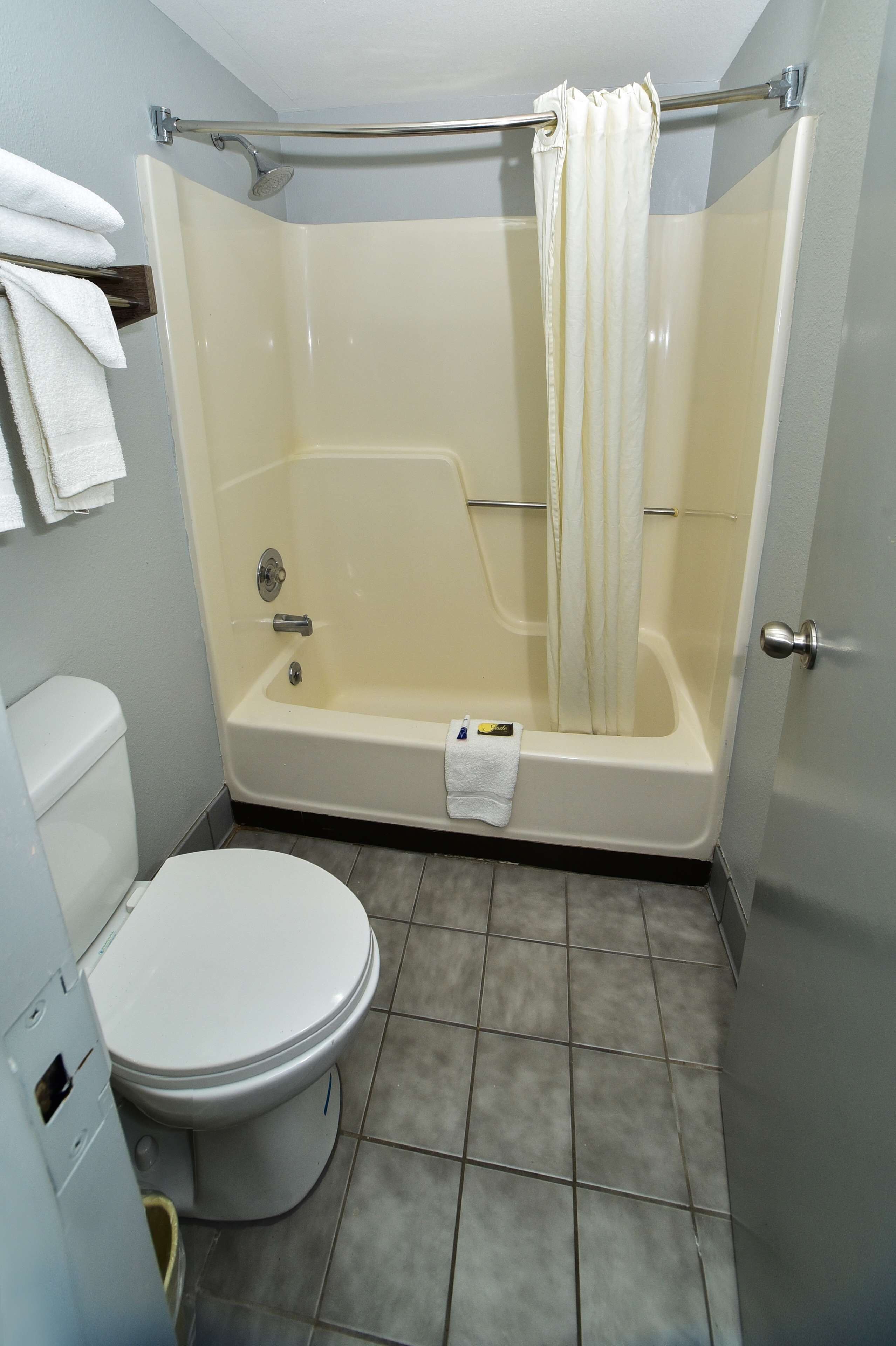 Combined shower/bathtub, free toiletries, hair dryer, towels