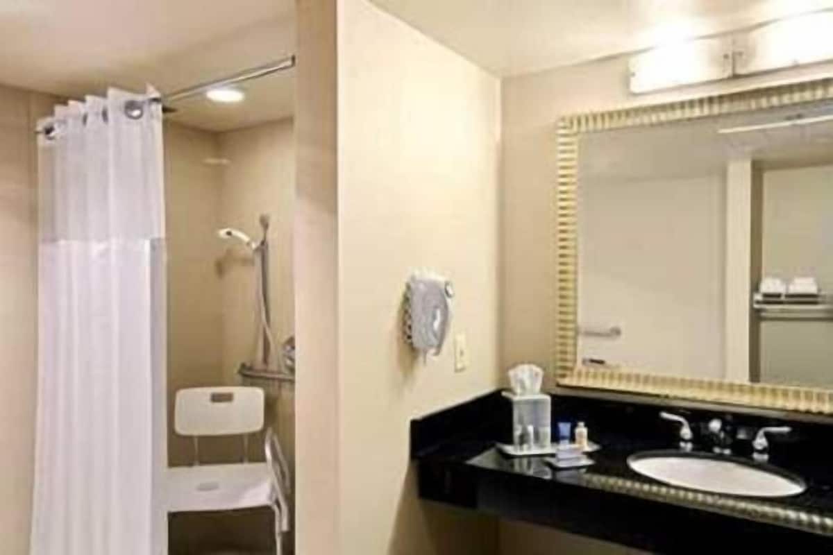 Bathroom | Combined shower/tub, free toiletries, hair dryer, towels
