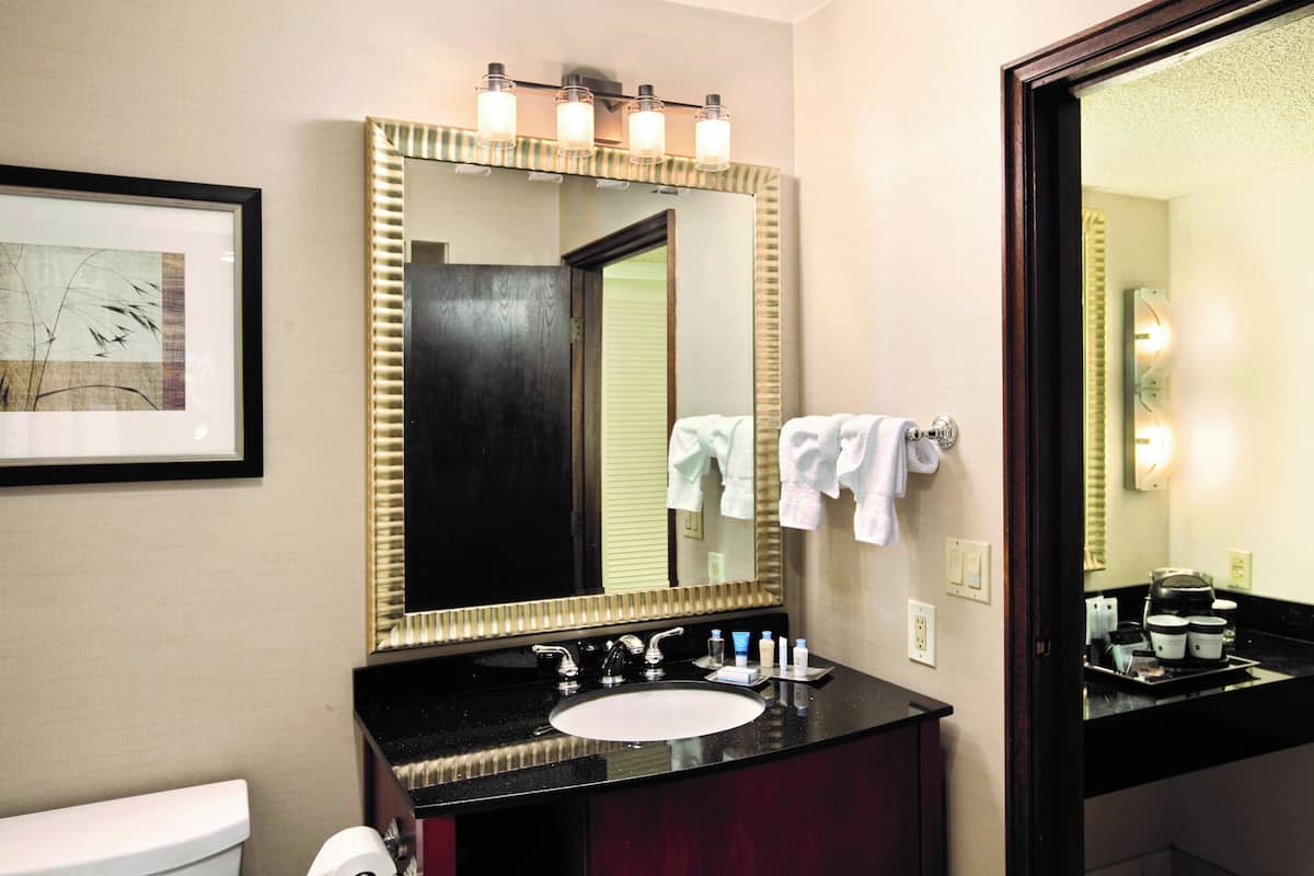 Bathroom | Combined shower/tub, free toiletries, hair dryer, towels