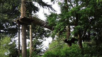 A wooden suspension bridge in a forested area with tall trees and a wooden platform.