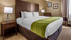A hotel room with a large bed, two bedside tables, a nightstand, a green throw blanket, and two framed pictures on the wall. - Comfort Inn Edison - New Brunswick (Edison)