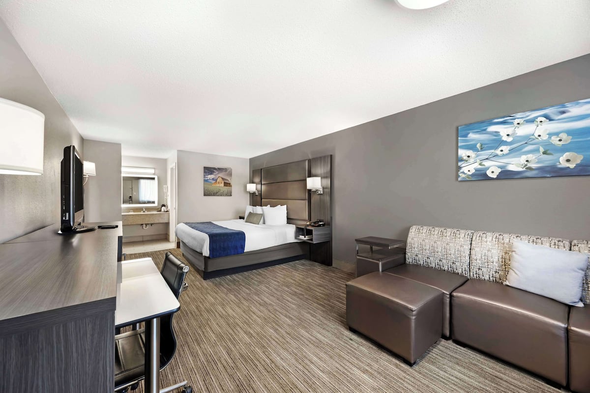 Standard Room, 1 King Bed, Non Smoking, Refrigerator & Microwave (Not Pet Friendly) | In-room safe, individually decorated, individually furnished, desk