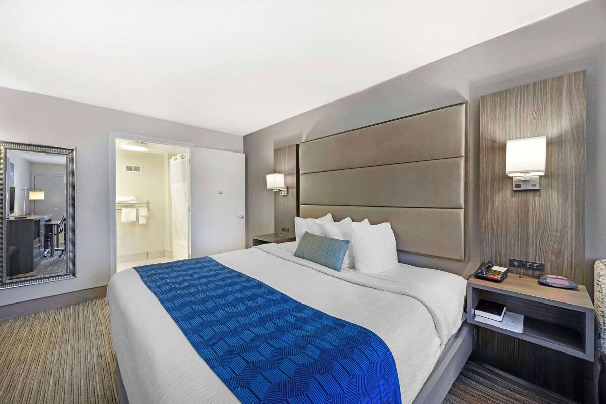 Standard Room, 1 King Bed, Accessible, Bathtub (Not Pet Friendly) | In-room safe, individually decorated, individually furnished, desk