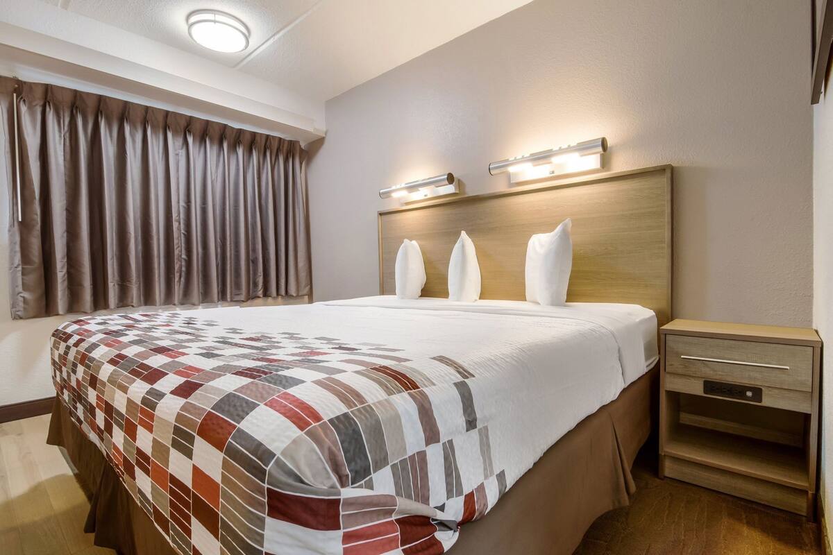 A hotel room with a large bed, a nightstand, a lamp, and a window with curtains.