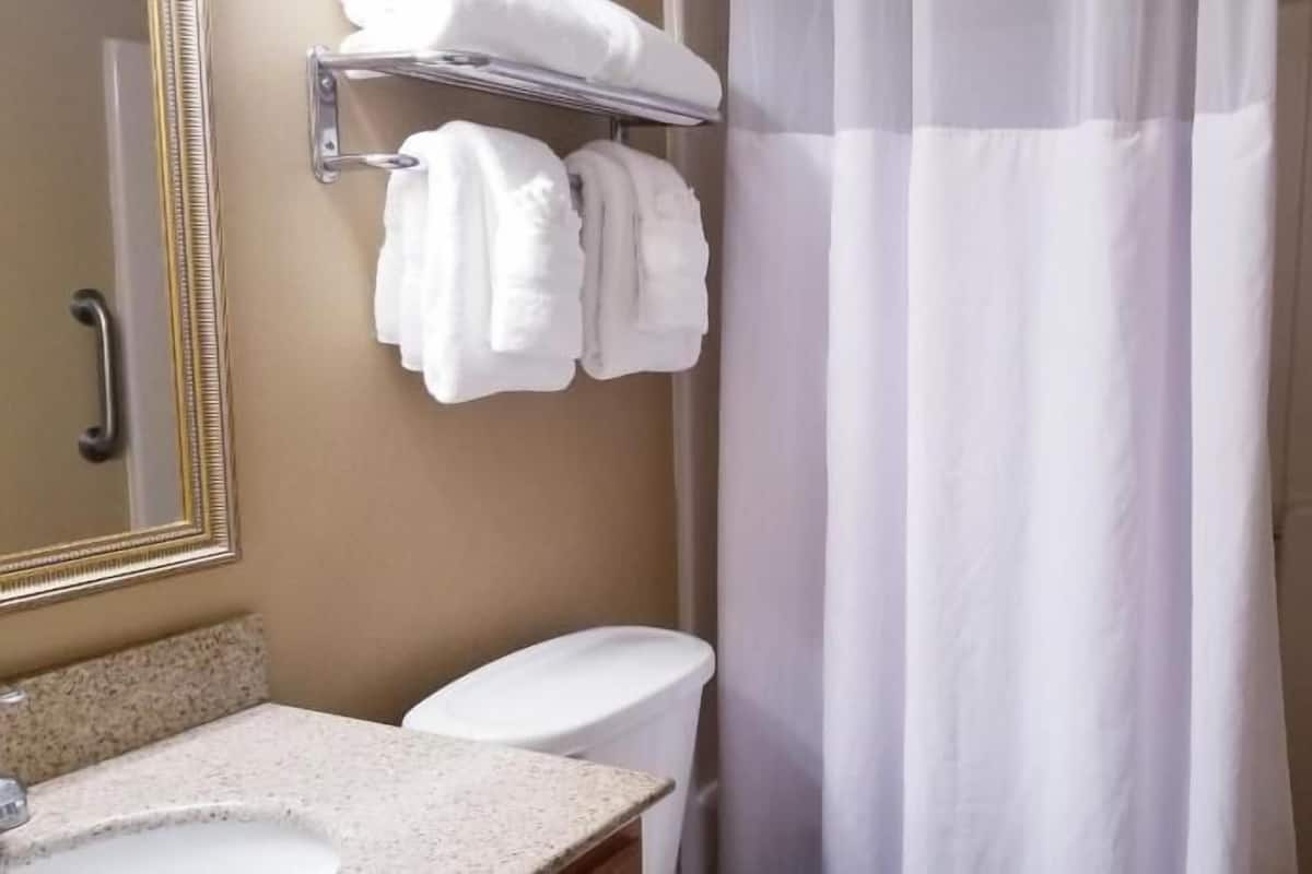 Bathroom | Combined shower/tub, free toiletries, hair dryer, towels
