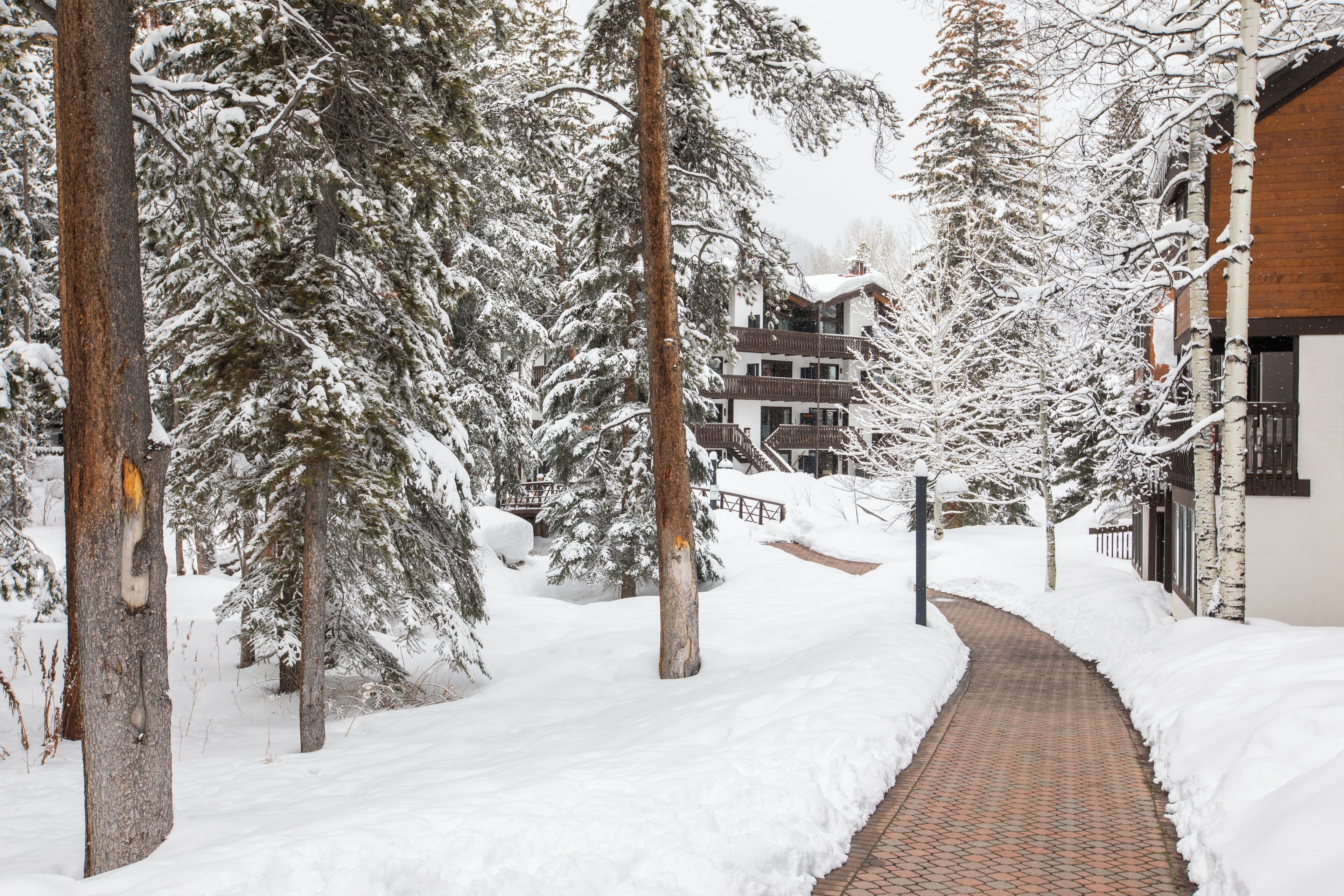 A snow-covered pathway leading to a building with a wooden facade and multiple balconies.