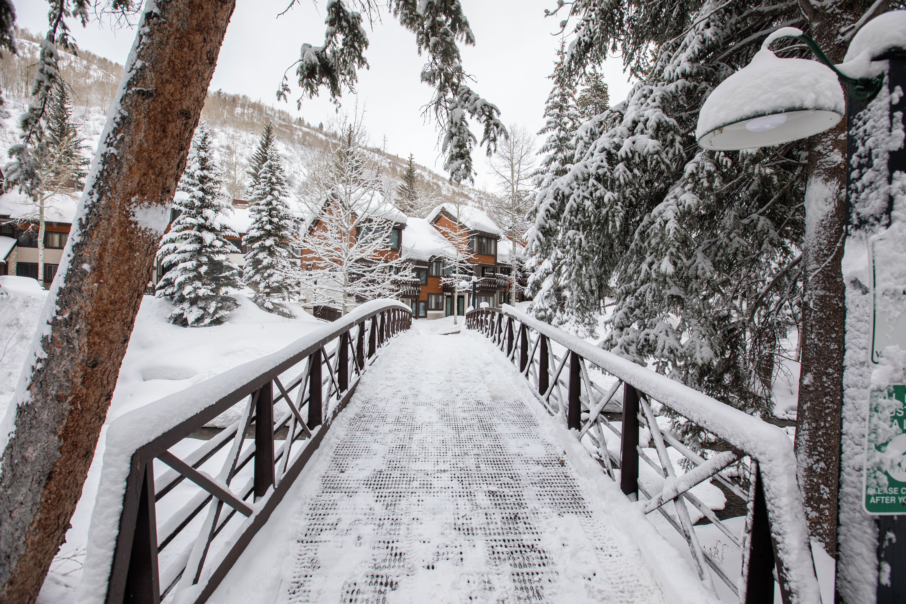 A snow-covered wooden bridge leading to a building with a sloped roof, surrounded by snow-laden trees.
