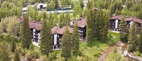 Une zone de villégiature comprenant plusieurs bâtiments, entourée d’une forêt dense et bordée par une rivière.
