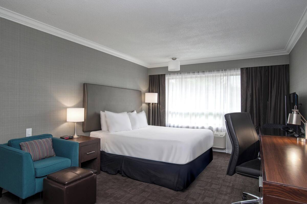A hotel room with a large bed, a desk, a chair, a sofa, and a lamp.