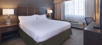 ホリデイ イン ホテル & スイーツ アナハイム by IHG