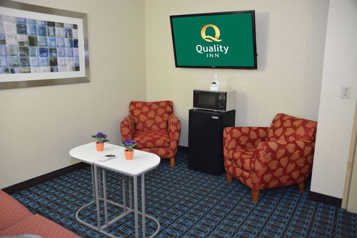 Suite, 1 King Bed with Sofa bed, Non Smoking