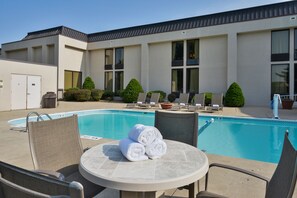 Outdoor pool, sun loungers