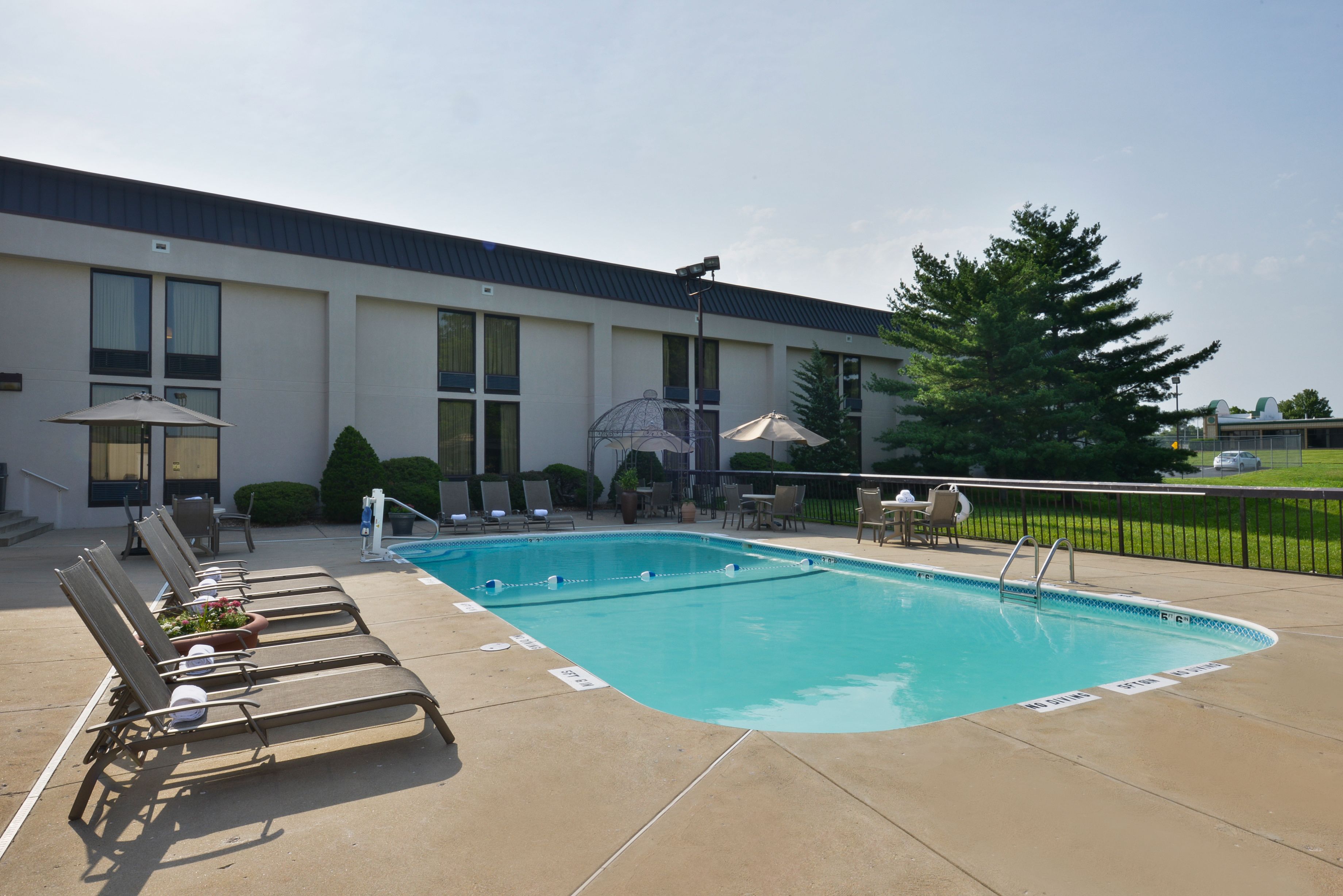 outdoor pool, pool loungers