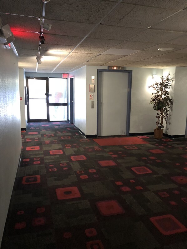 A hallway with patterned carpet, a potted plant, and a door with an exit sign.