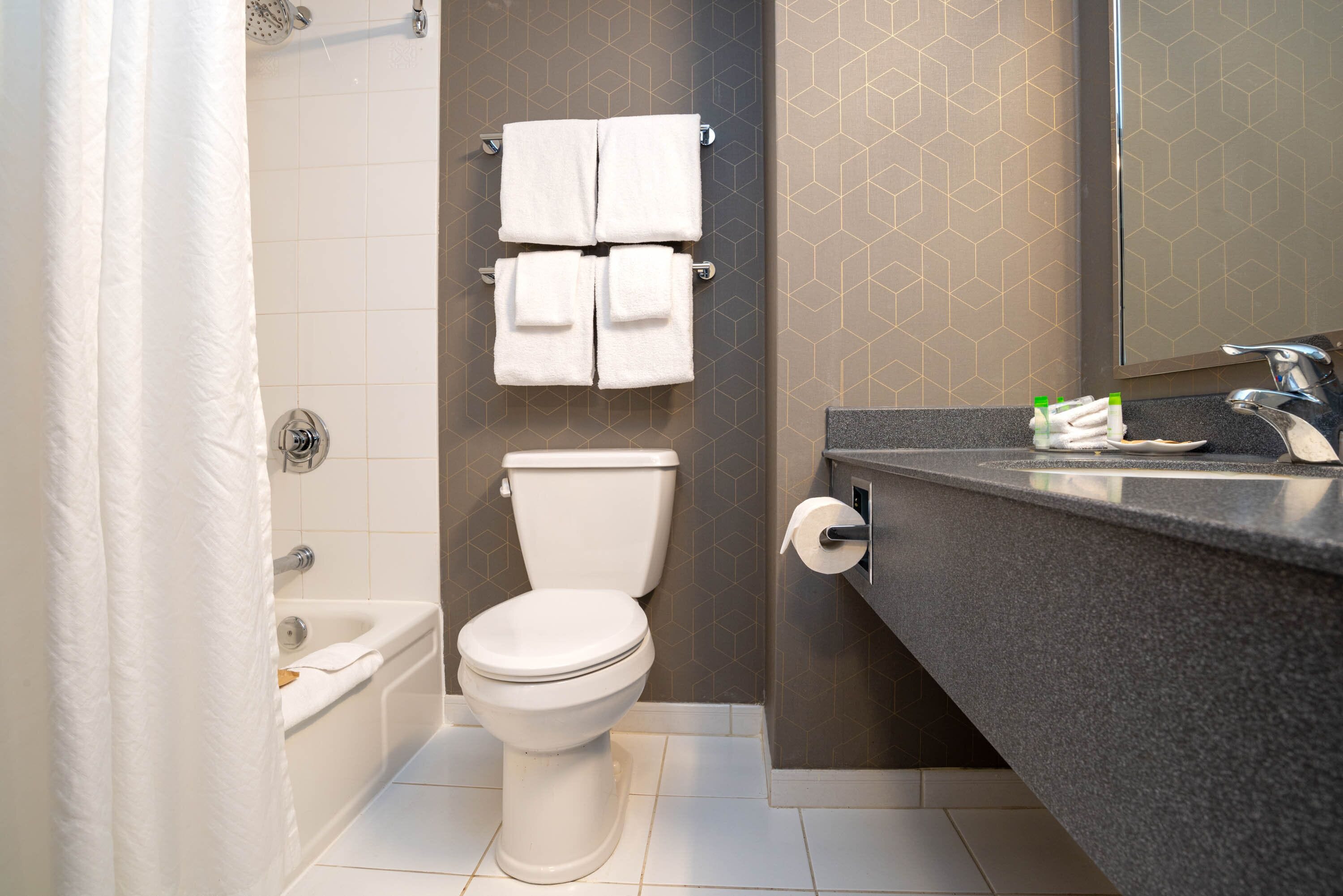 combined shower/bathtub, free toiletries, hair dryer, towels