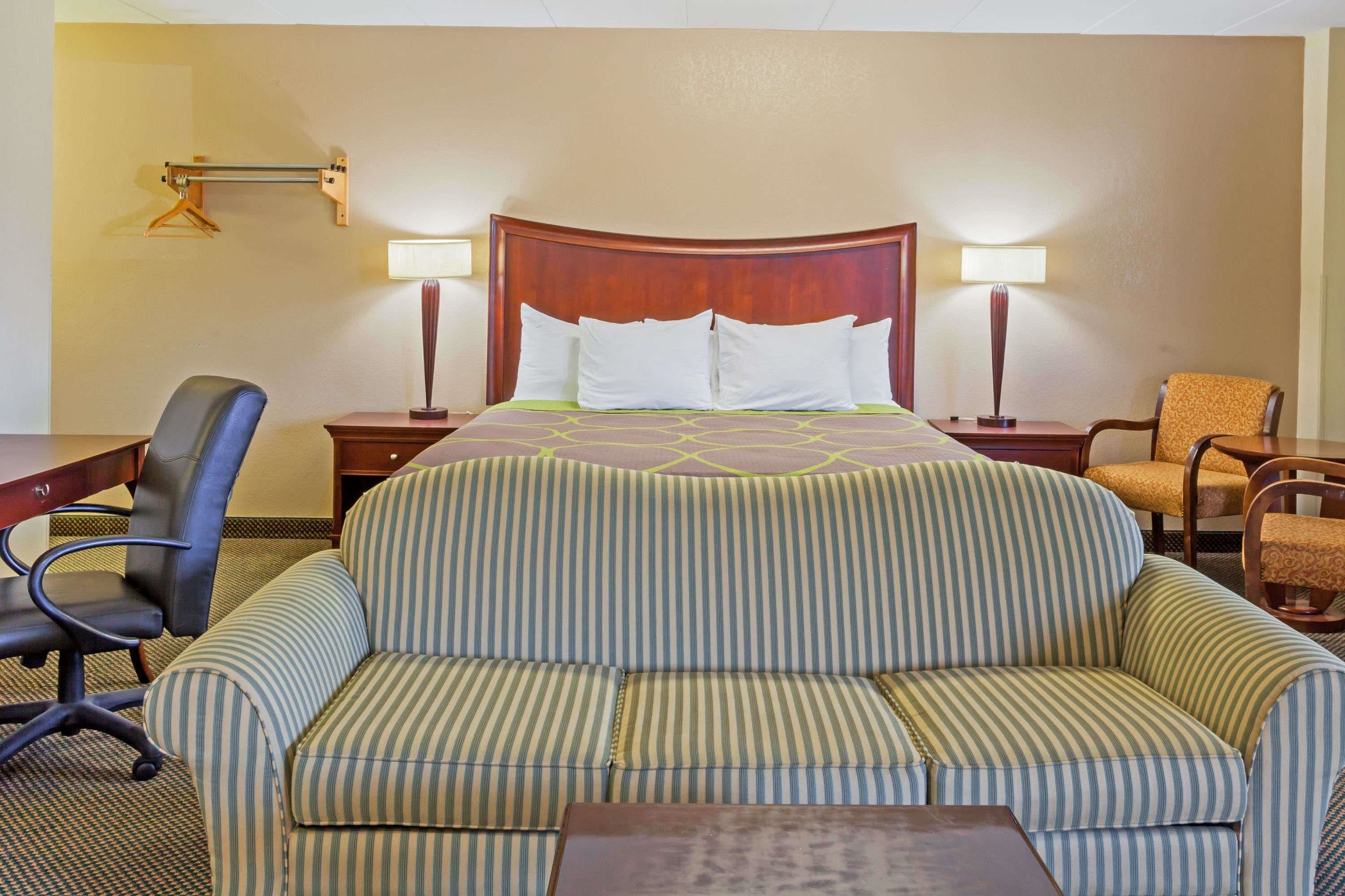 A hotel room with a bed, a striped sofa, a desk, and two chairs.