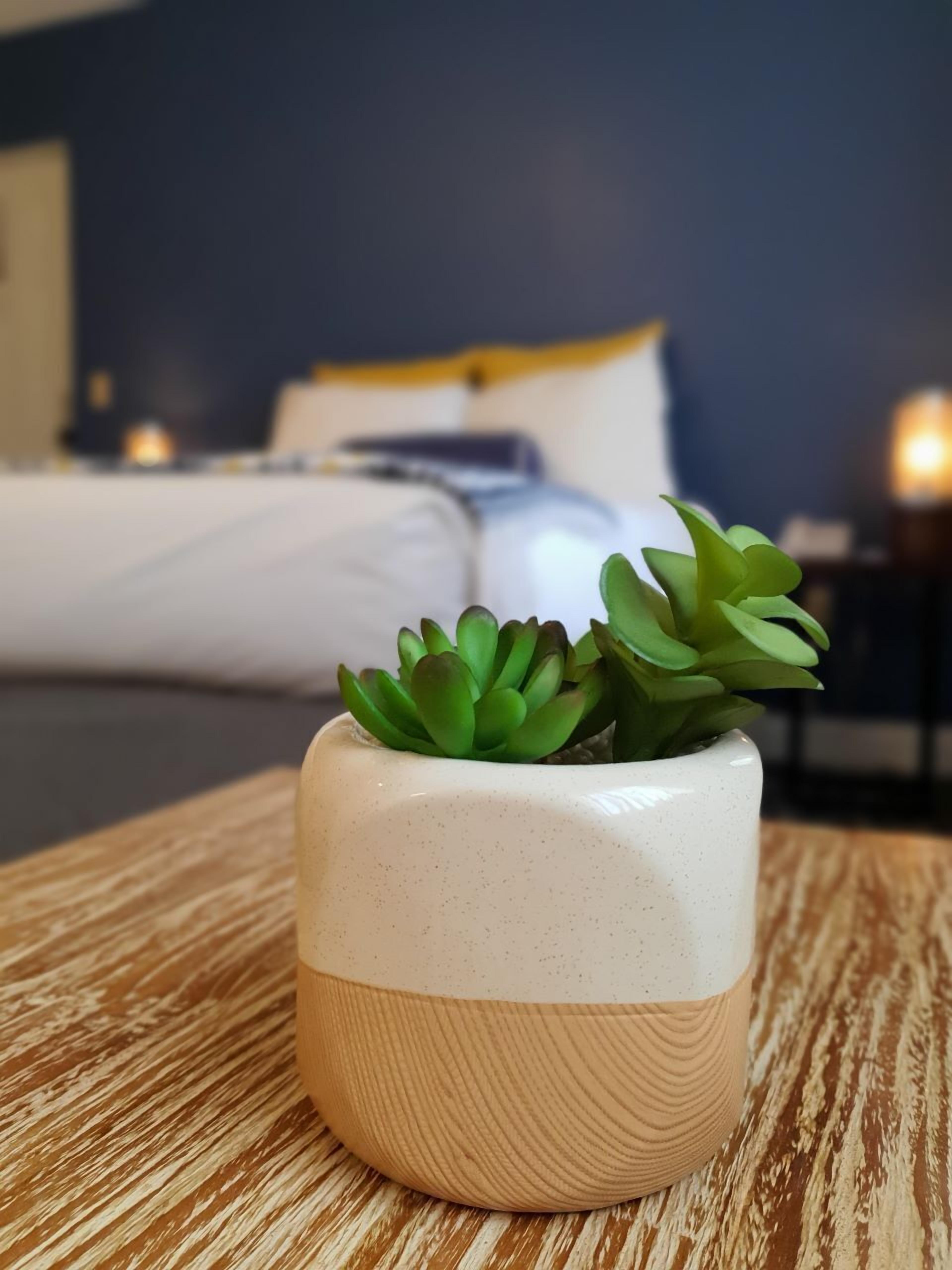 Photo - PIER BLUE INN Old Saybrook - Essex