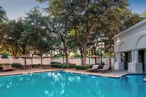Pool - Sheraton Suites Market Center Dallas (Dallas)