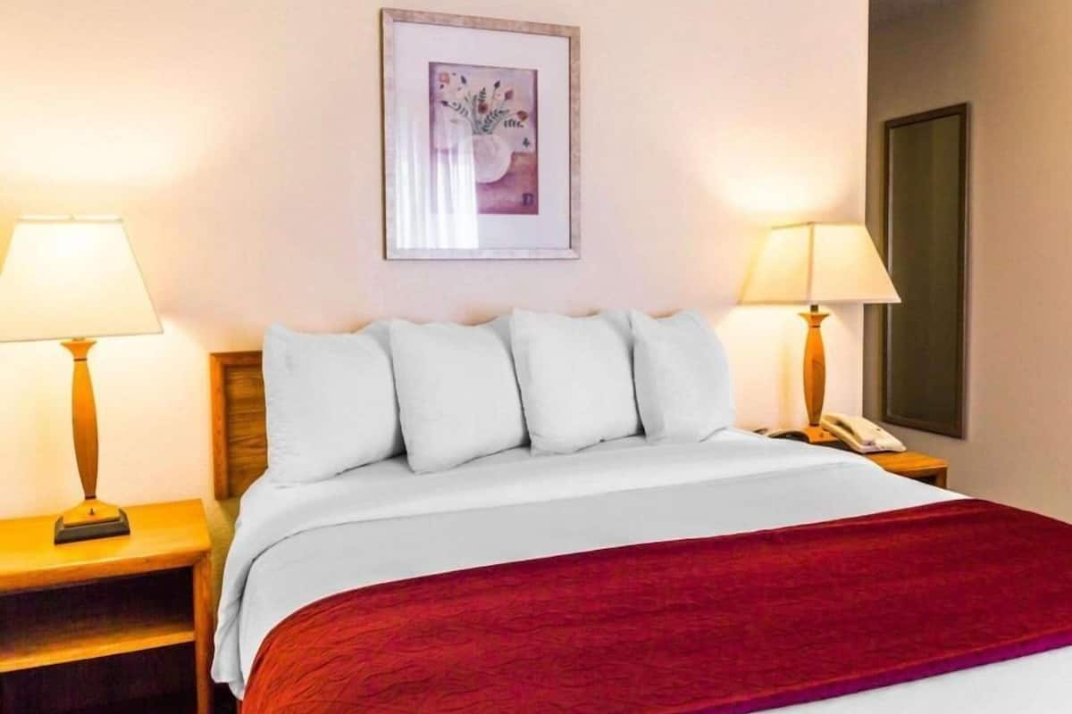 Una camera d'albergo con un letto, due abat-jour, un quadro appeso al muro e una coperta rossa.