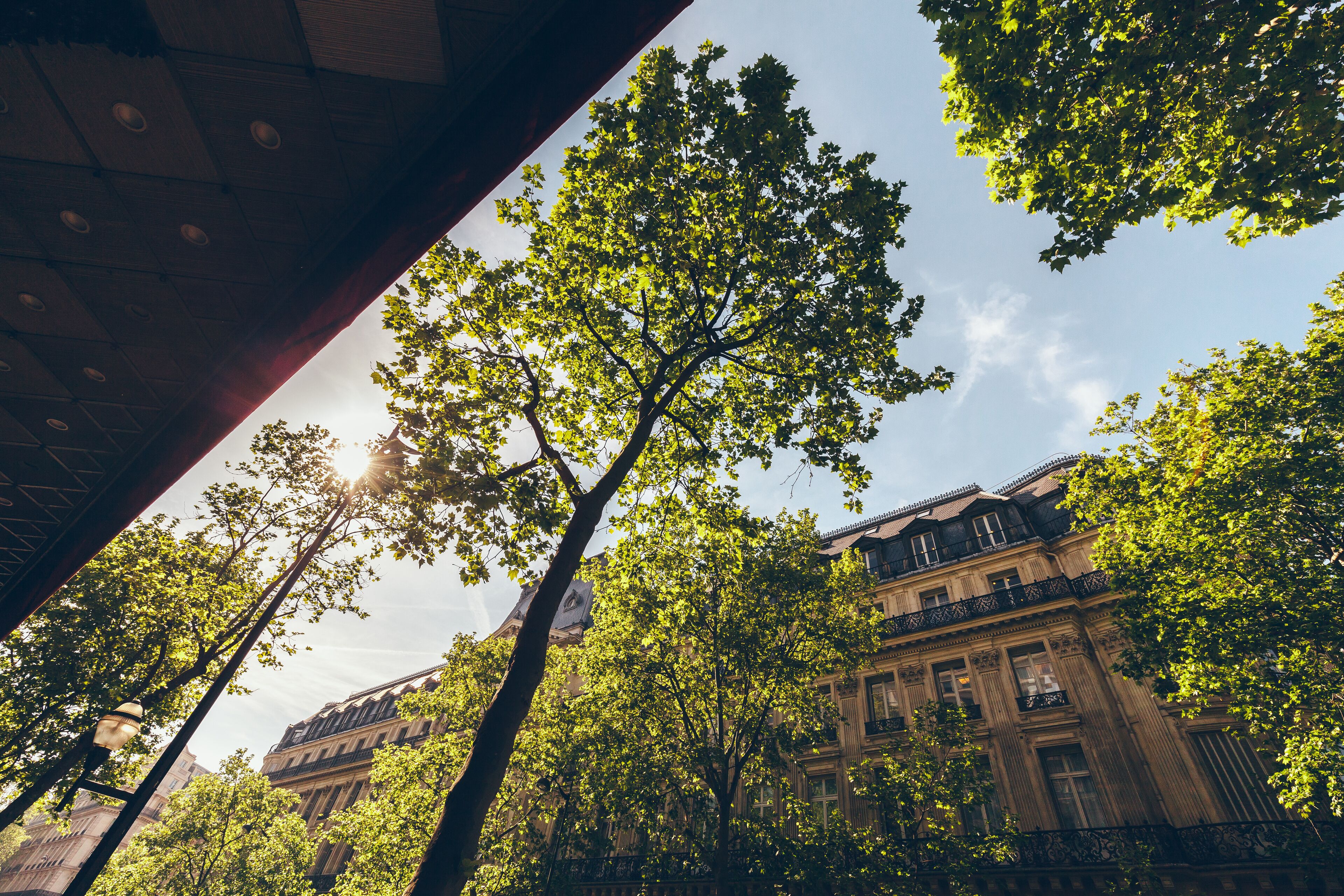 A view of a building with classical architecture, surrounded by trees and a clear sky.