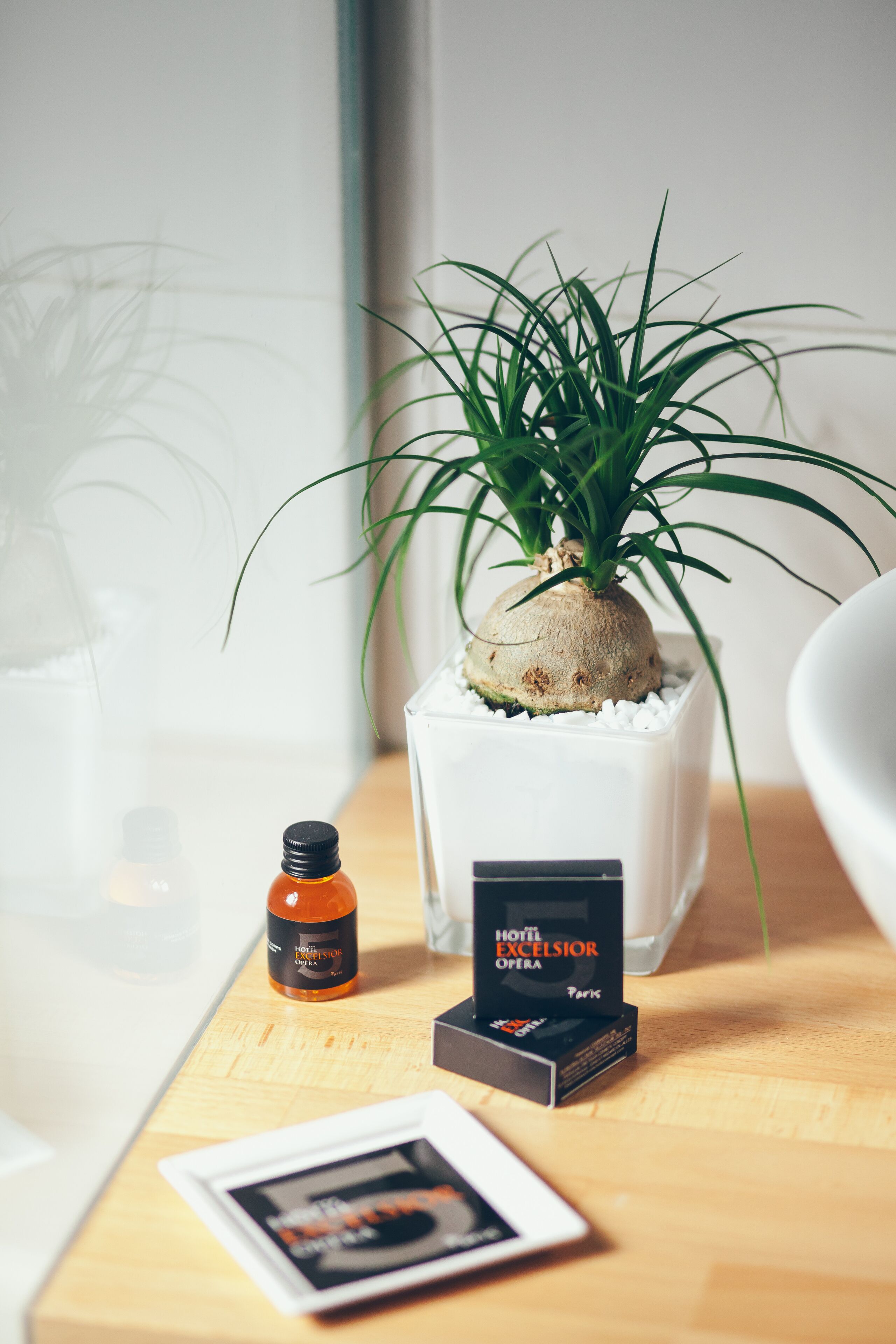 Photo - Excelsior Opera