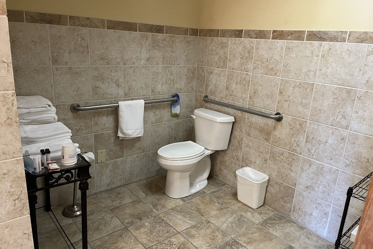 room, 1 queen bed, accessible, non smoking (mobility, north tower) | bathroom | combined shower/bathtub, free toiletries, hair dryer, towels