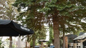 An outdoor seating area with wicker furniture and umbrellas, surrounded by trees and a pathway leading to a building. - Clarion Pointe Medicine Hat Saamis Tepee (Medicine Hat)