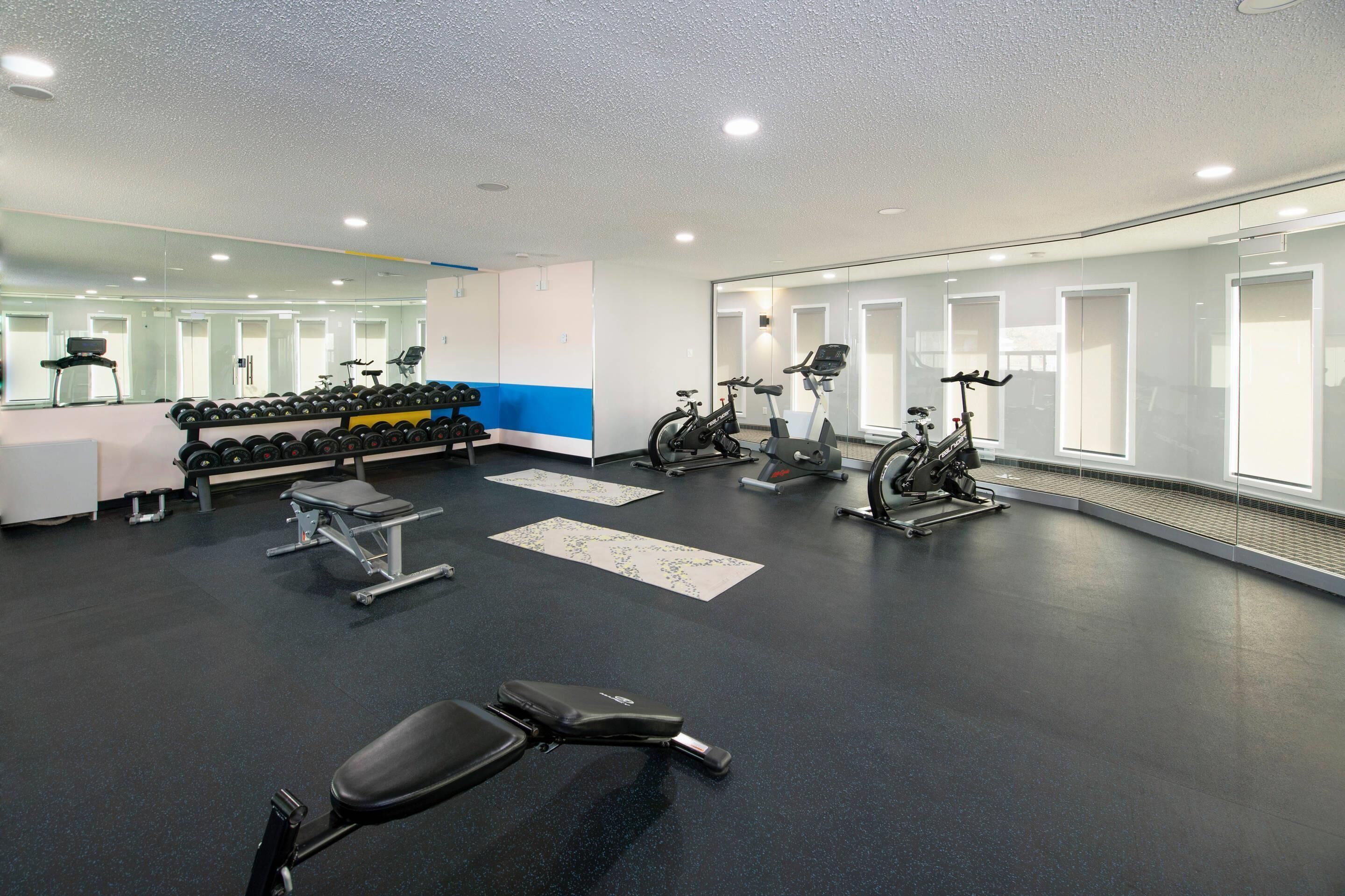 Un gimnasio moderno con diversos equipos de ejercicio, como mancuernas, cintas de correr y bicicletas estáticas.