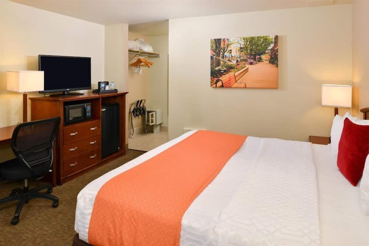 Une chambre d’hôtel avec un lit, un bureau avec une télévision, un four à micro-ondes, une chaise et un tableau au mur.
