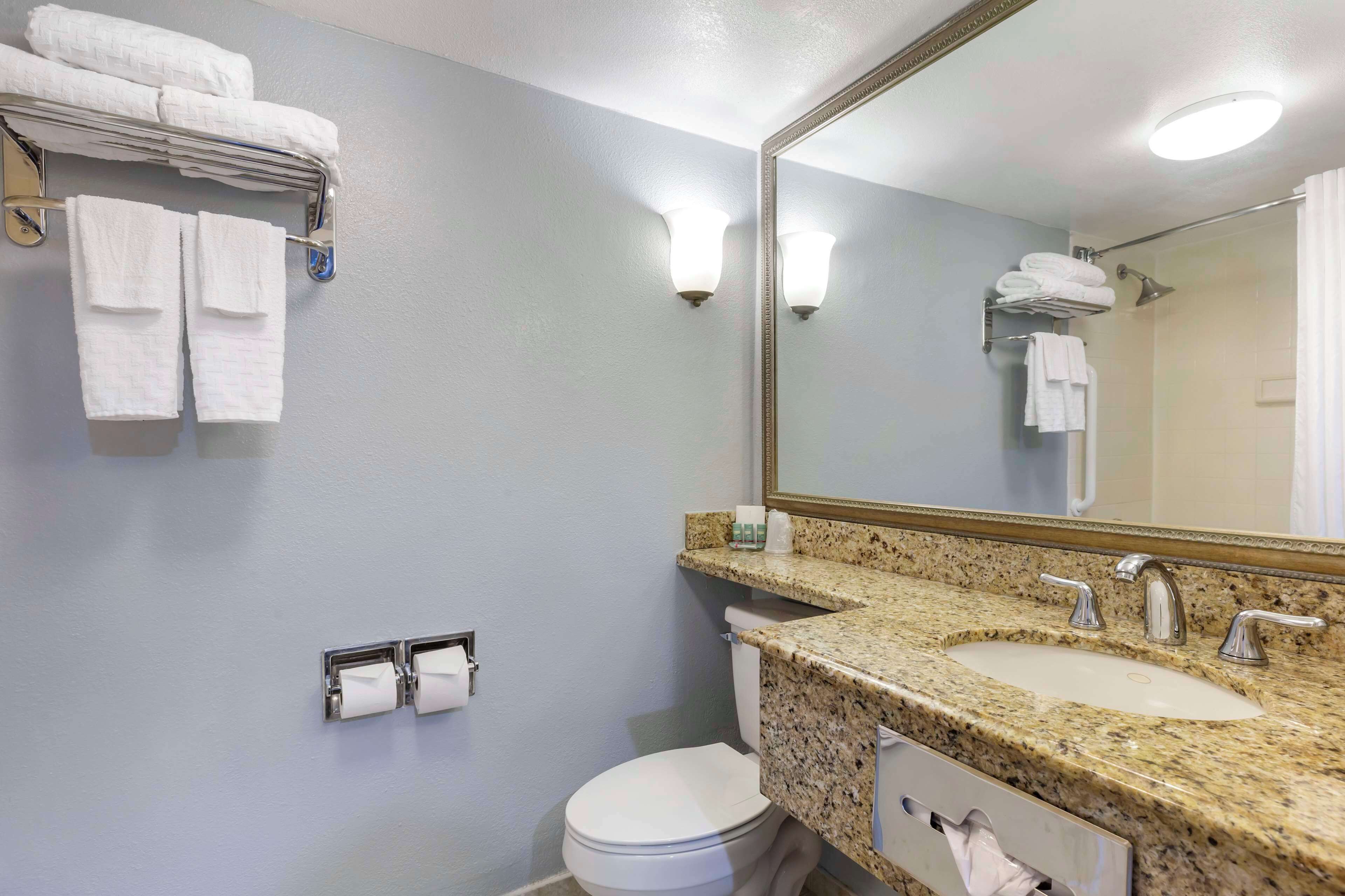 combined shower/bathtub, deep-soaking bathtub, hydromassage showerhead