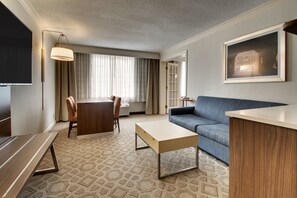 Suite, 1 Bedroom - Holiday Inn Express Poughkeepsie by IHG (Poughkeepsie)