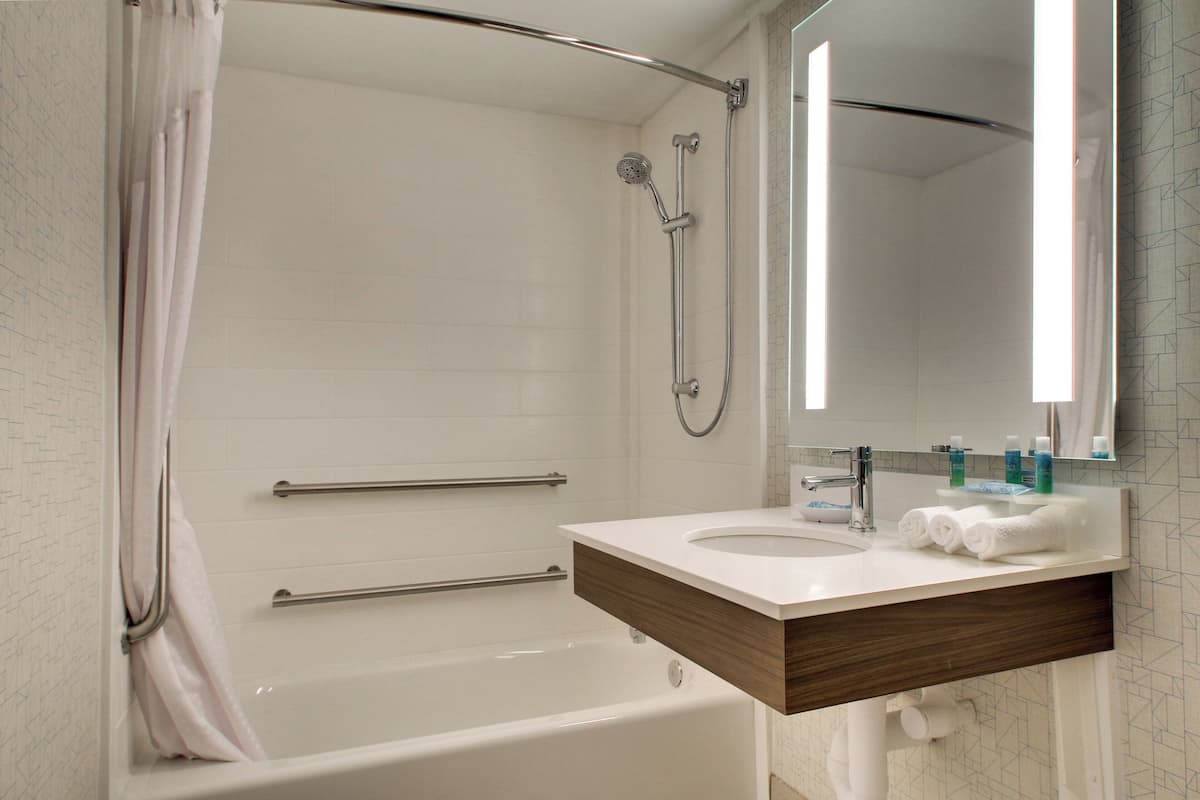 standard room, 1 king bed | bathroom | combined shower/bathtub, free toiletries, hair dryer, bidet