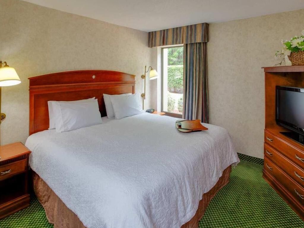 Minibar, in-room safe, laptop workspace, iron/ironing board