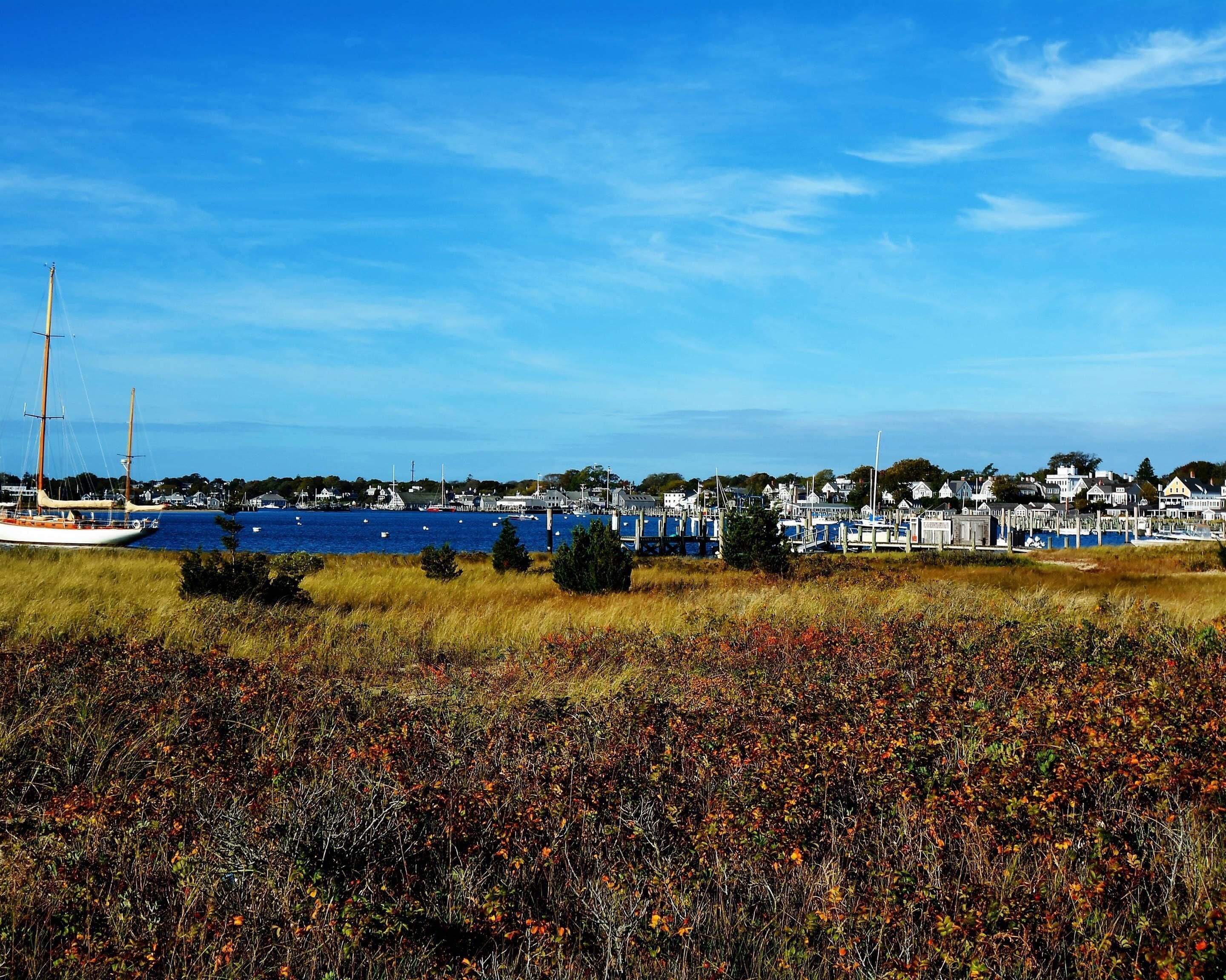 A coastal town with a marina, boats, and houses.
