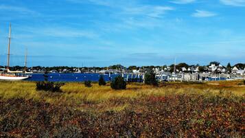 A coastal town with a marina, boats, and houses.