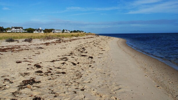 A sandy beach with footprints and seaweed, a clear blue sky, and a row of houses in the background. - Edgar Hotel Martha's Vineyard, an Ascend Collection Hotel (Edgartown)