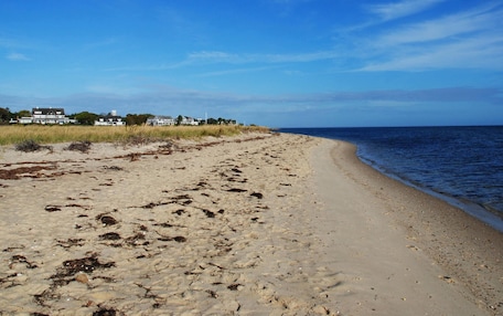 A sandy beach with footprints and seaweed, a clear blue sky, and a row of houses in the background.