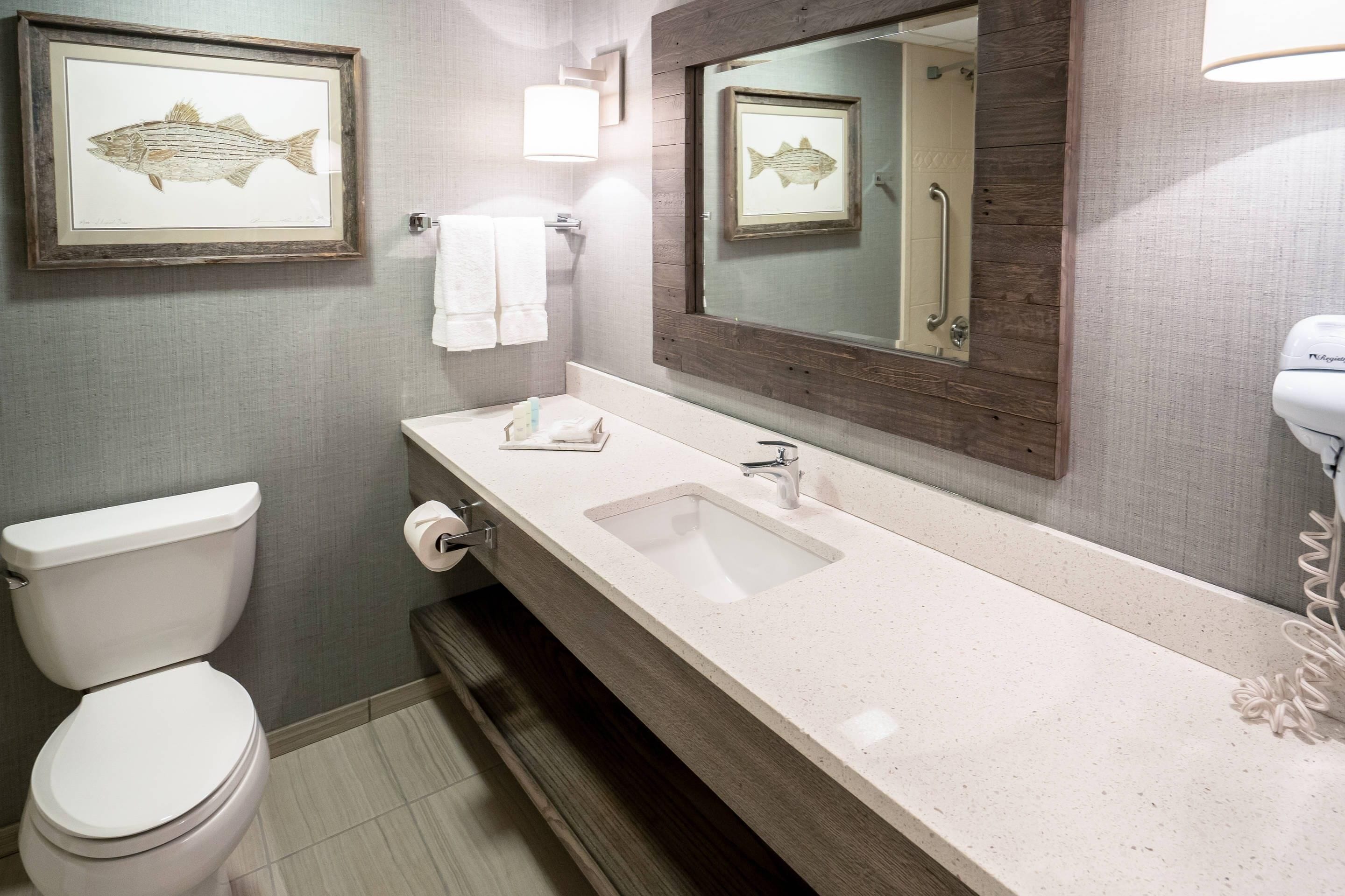 A bathroom with a white toilet, a sink with a mirror above it, and framed fish artwork on the wall.