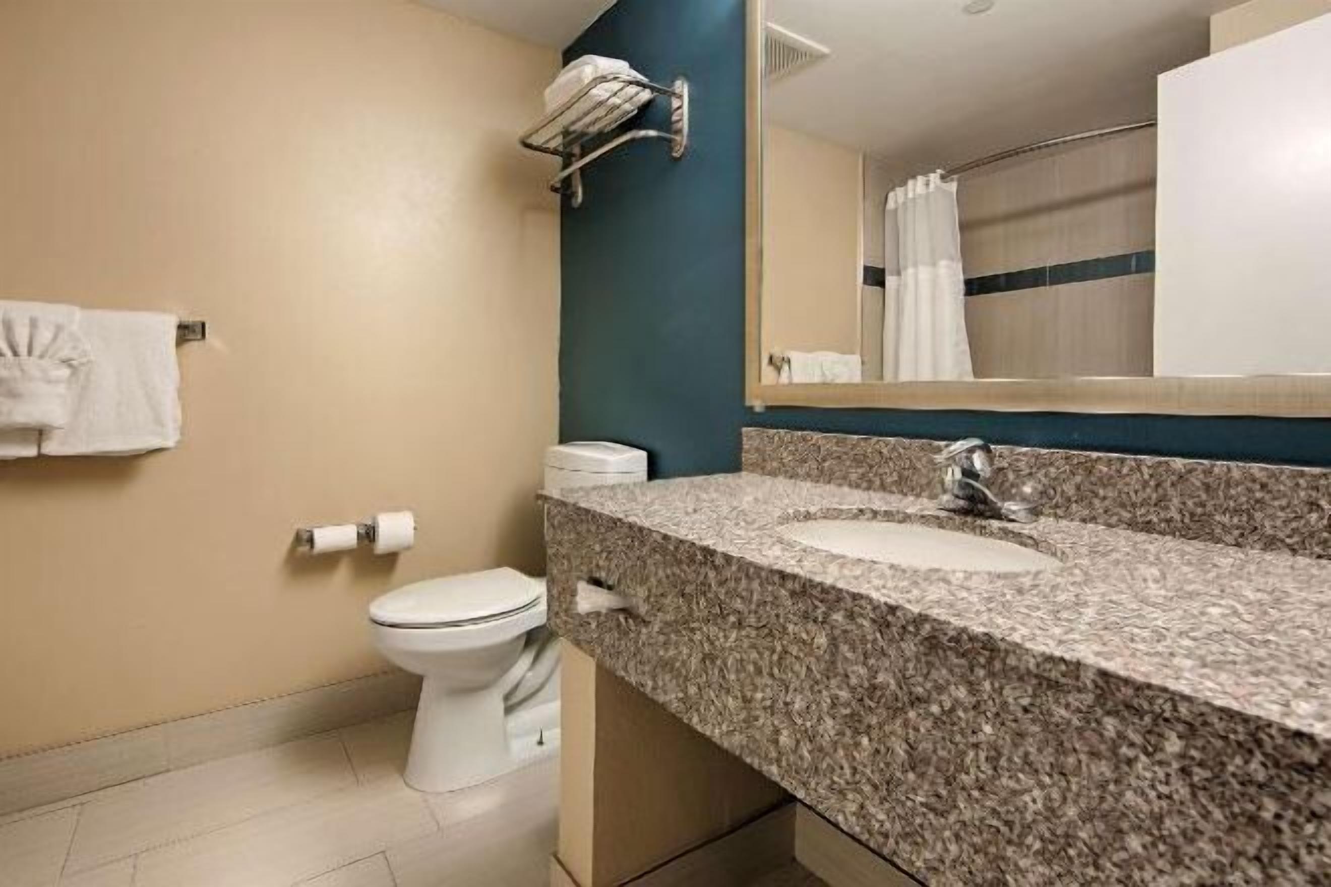 Bathroom | Combined shower/tub, free toiletries, hair dryer, towels