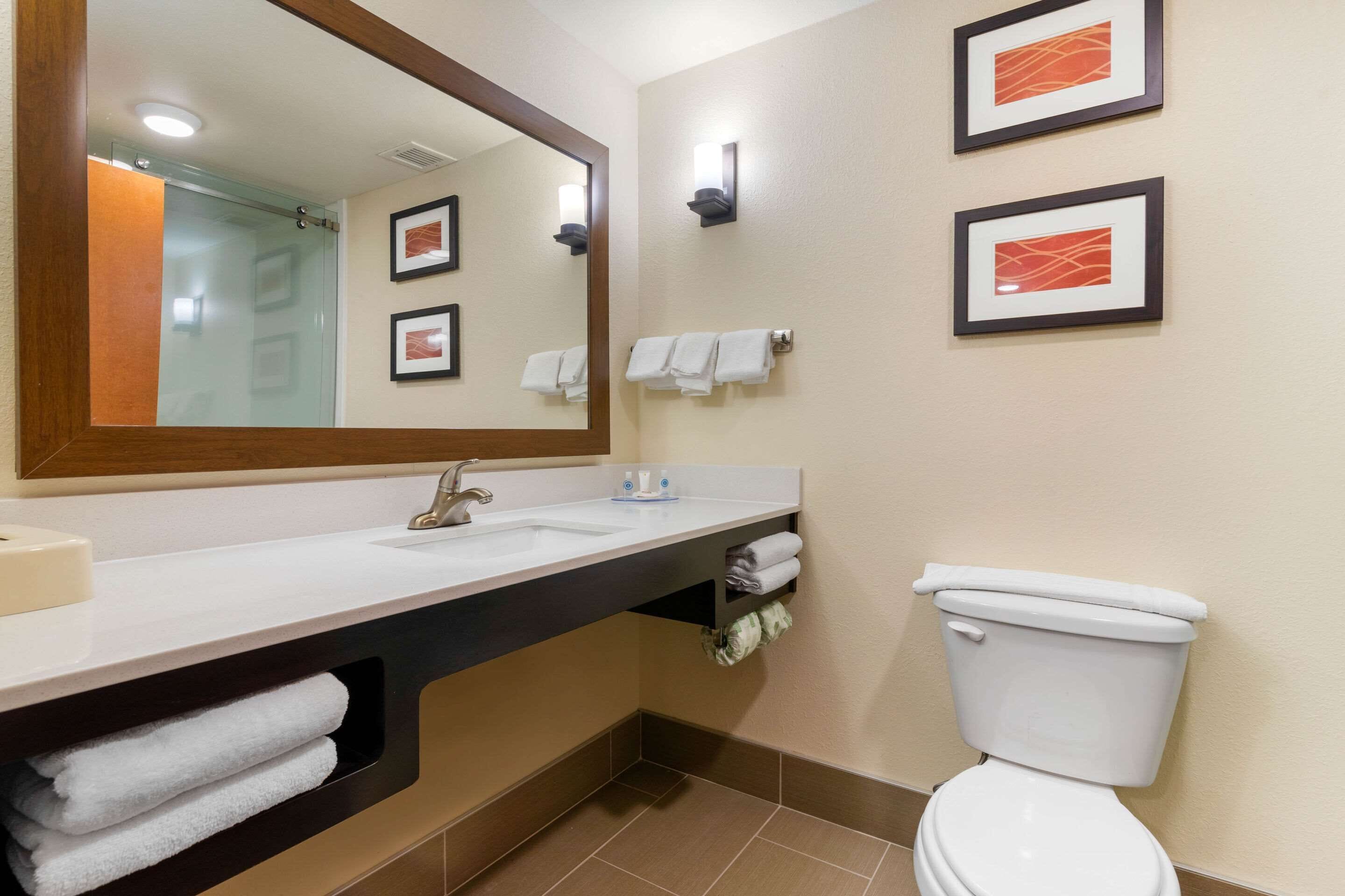 standard room, 1 king bed, non smoking | bathroom | free toiletries, hair dryer, towels