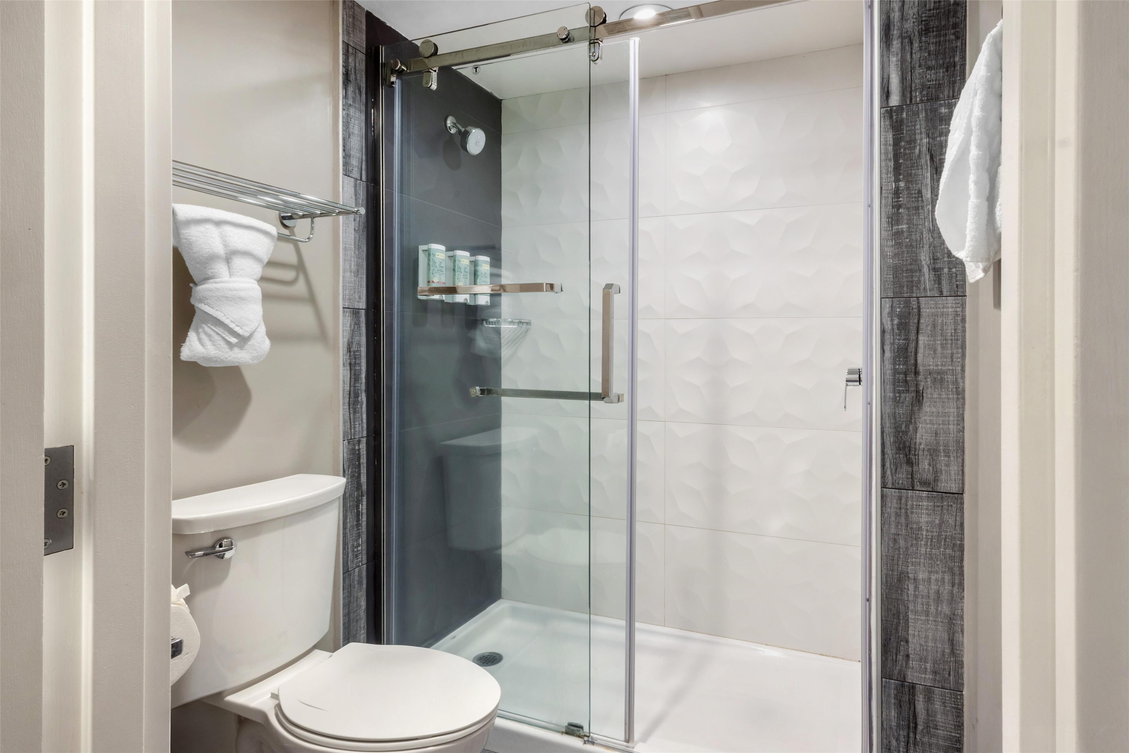 standard room, 1 king bed with sofa bed, non smoking, refrigerator & microwave (with sofabed) | bathroom | hydromassage showerhead, free toiletries, hair dryer, towels