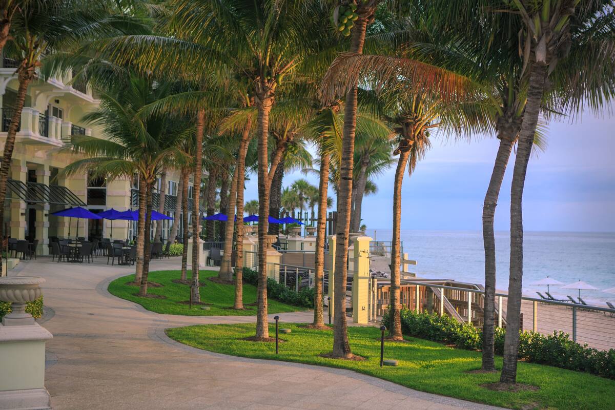 A resort with palm trees, outdoor seating, and a view of the ocean.