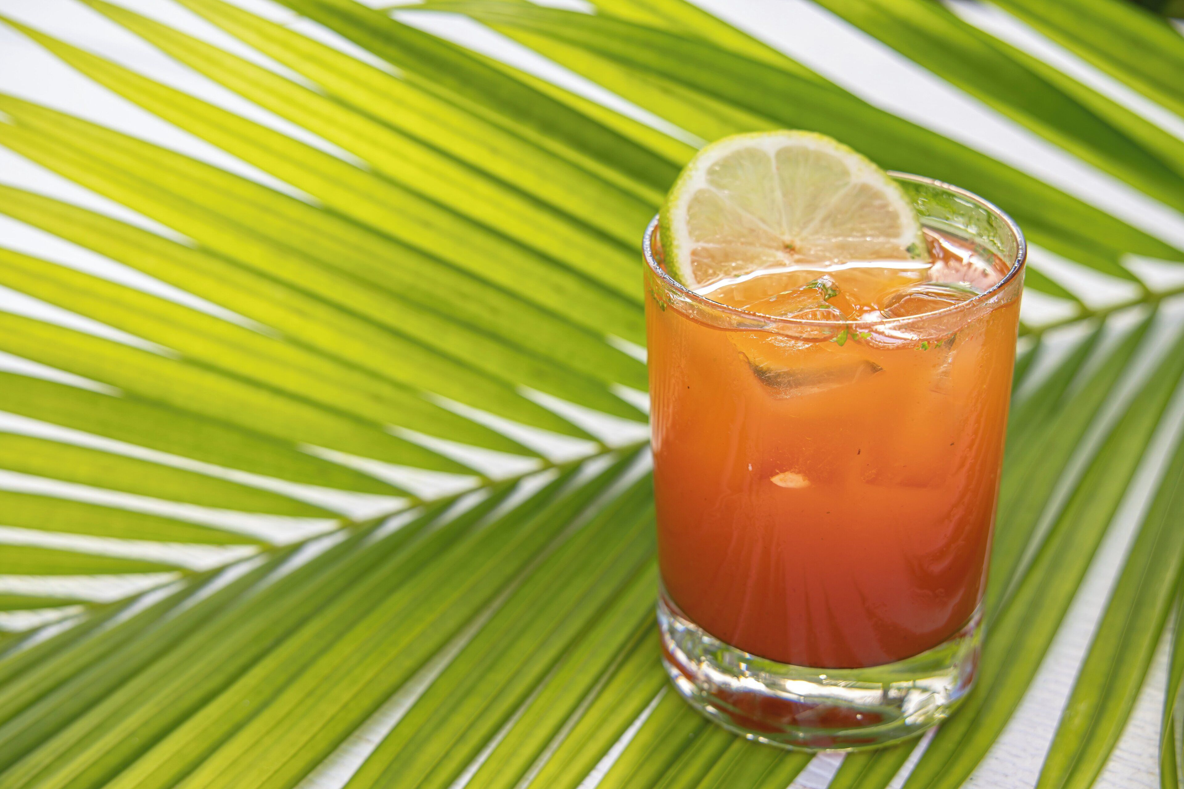 Un vaso de bebida de naranja con rodaja de lima, rodeado de hojas de palmera verdes.