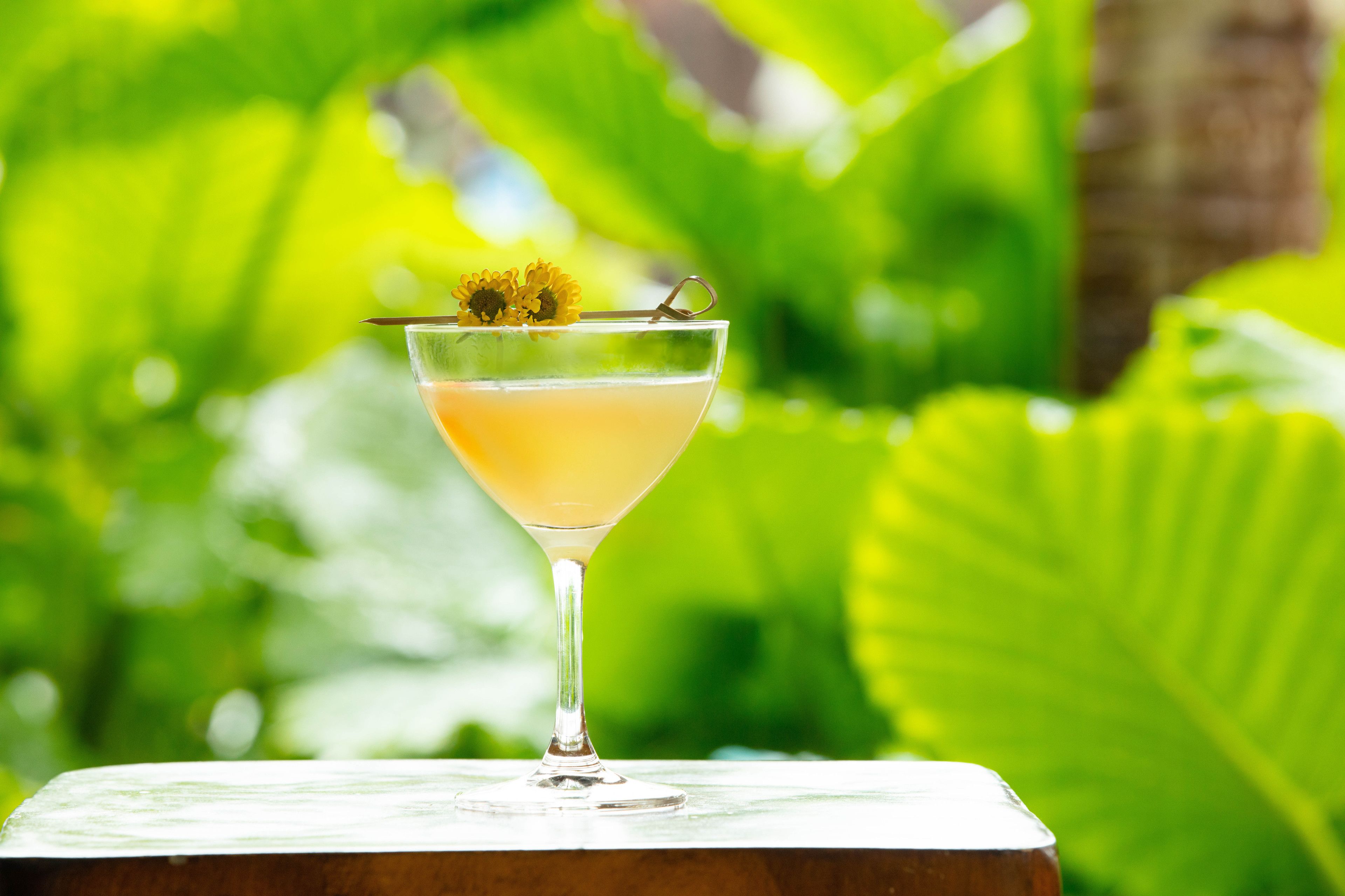 Un cóctel en una copa de martini con una guarnición de flor, sobre un fondo verde exuberante.