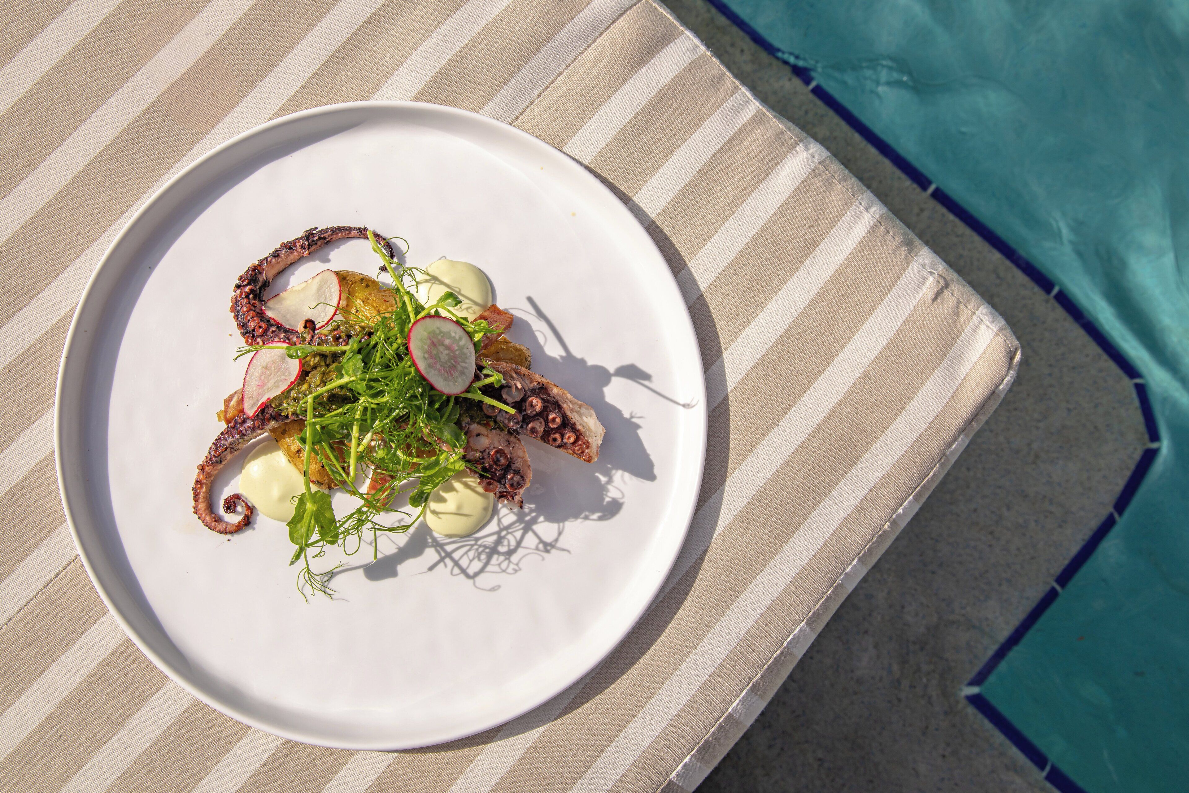 A white plate with octopus and greens on a striped beach chair by a pool.