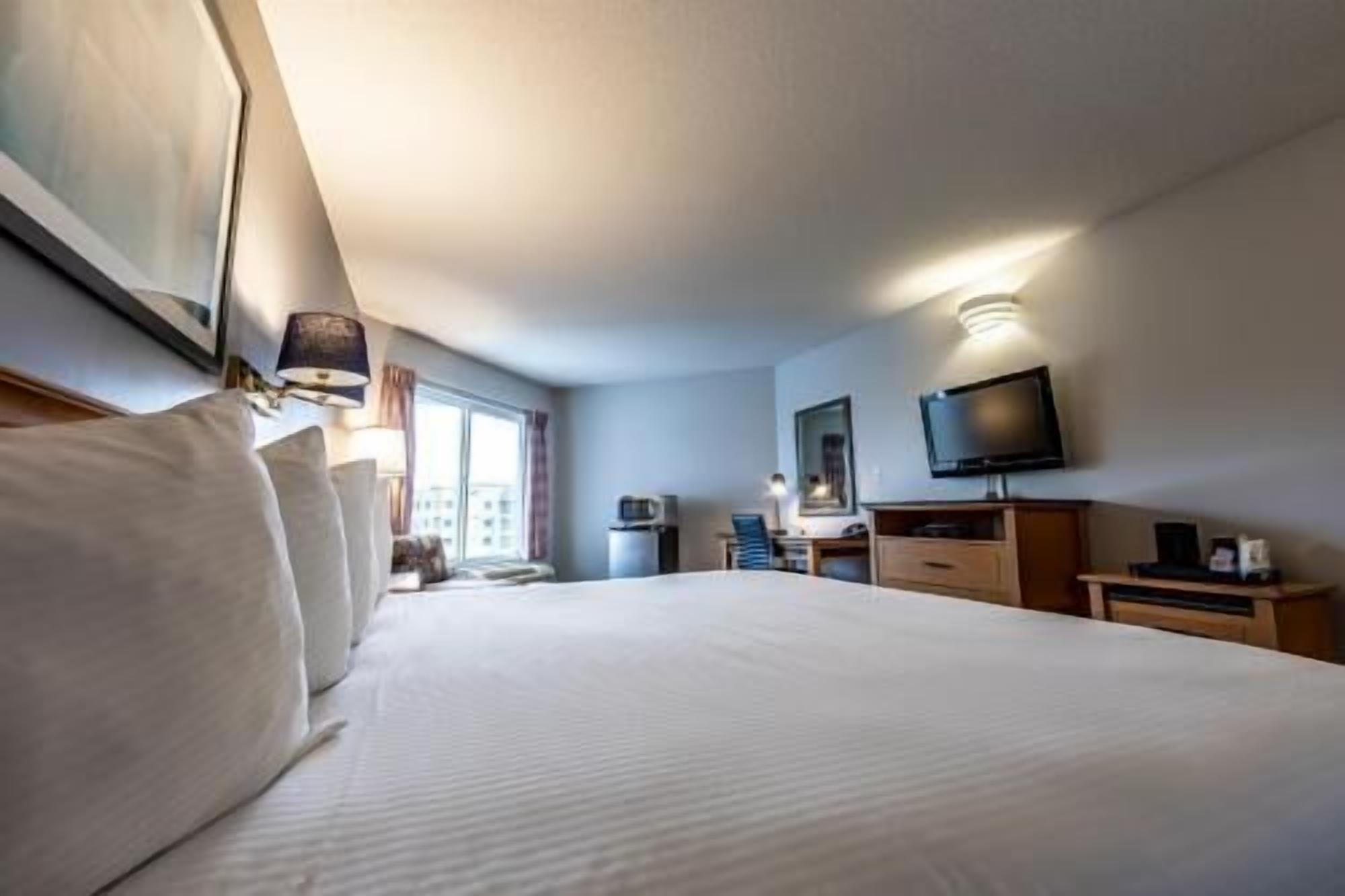 Desk, laptop workspace, iron/ironing board, free cots/infant beds