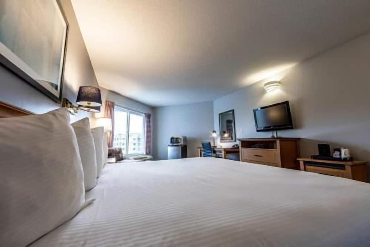 Desk, laptop workspace, iron/ironing board, free cribs/infant beds