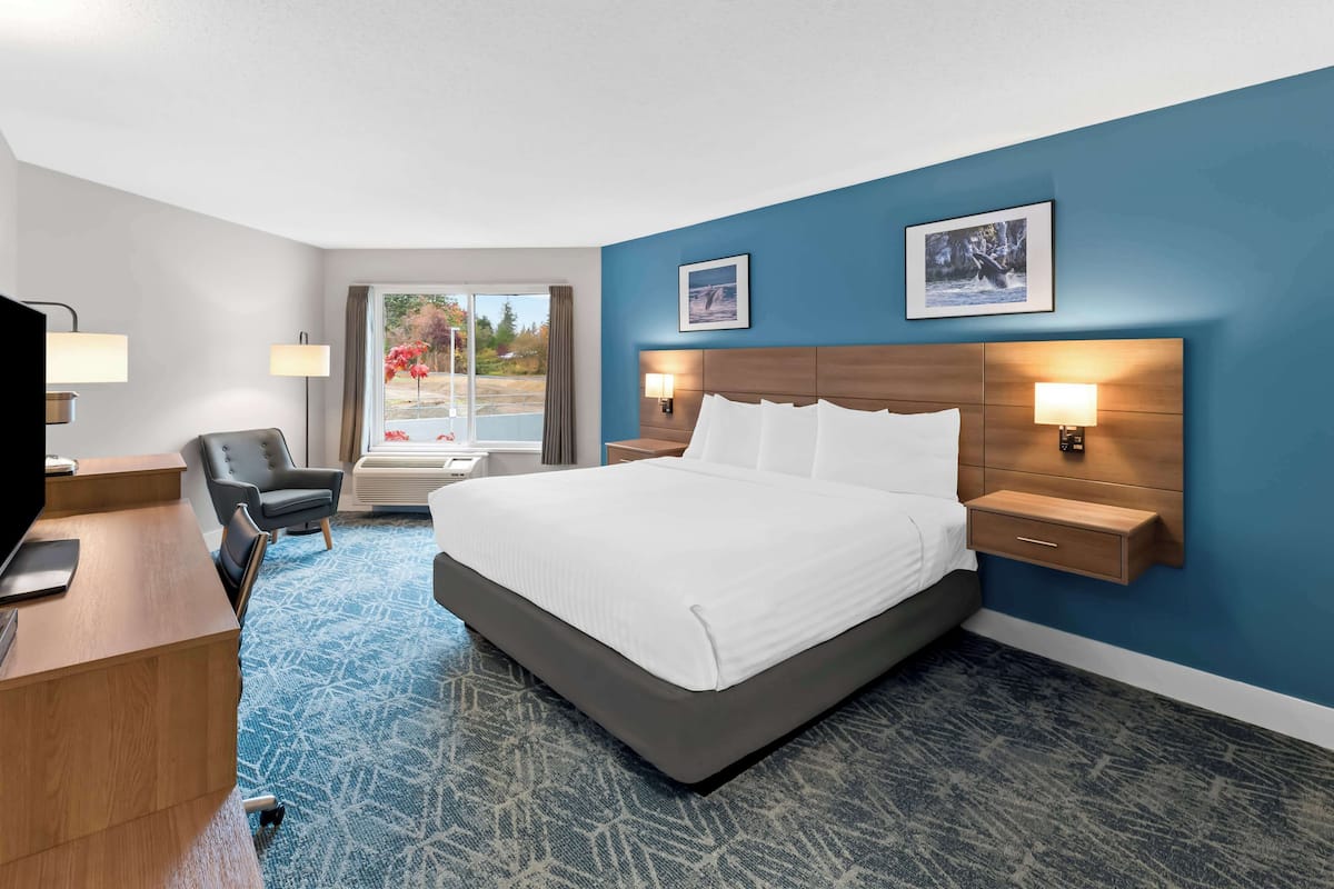 A hotel room with a large bed, a desk, a chair, and a view of the outdoors.